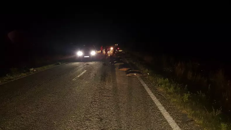 A omorât 33 de mistreți într-un accident în Gorj. Șoferul, „invidiat” de vânătorii din zonă (1)