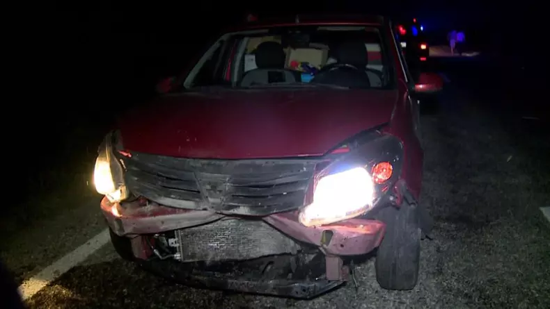 A omorât 33 de mistreți într-un accident în Gorj. Șoferul, „invidiat” de vânătorii din zonă (2)