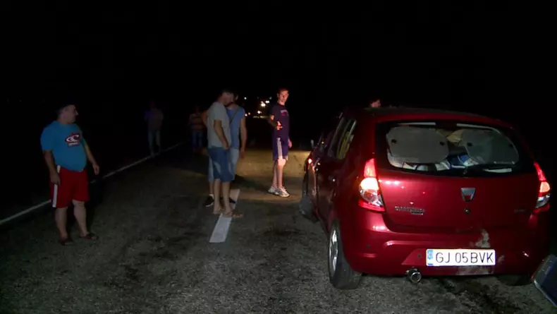 A omorât 33 de mistreți într-un accident în Gorj. Șoferul, „invidiat” de vânătorii din zonă (3)