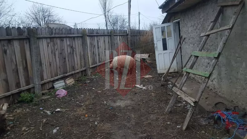 Locuinta_familiei_chelaru_7_