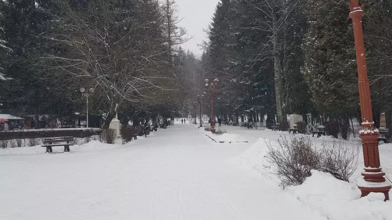 Vatra Dornei (8)