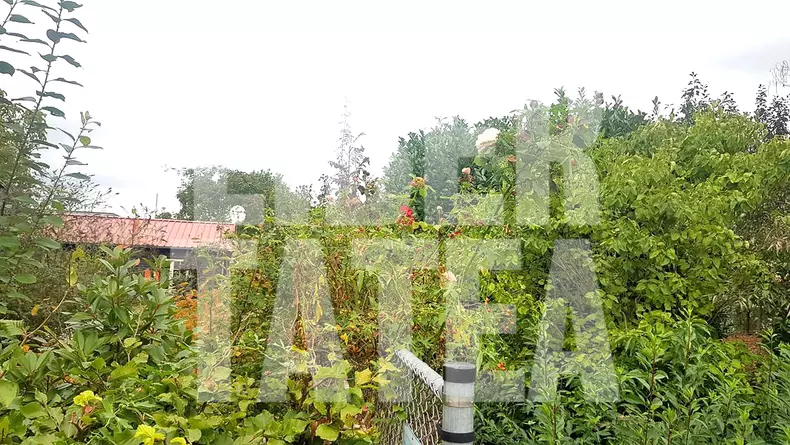 Casa de pe proprietatea lui Johannes Visscher din orașul Beers