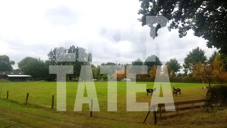 Criminalul și-a cumpărat în luna mai a acestui an o fermă foarte mare, care are capre, cai, pășuni, o livadă și brazi.