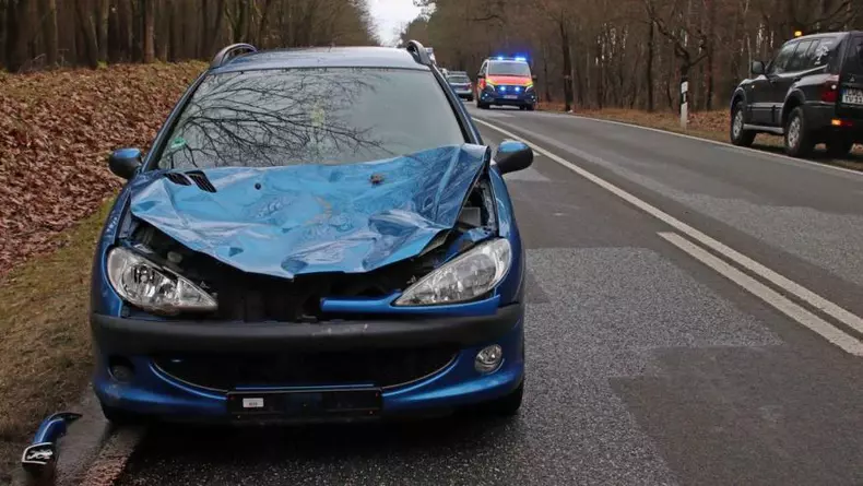 andrei-suceava-germania1