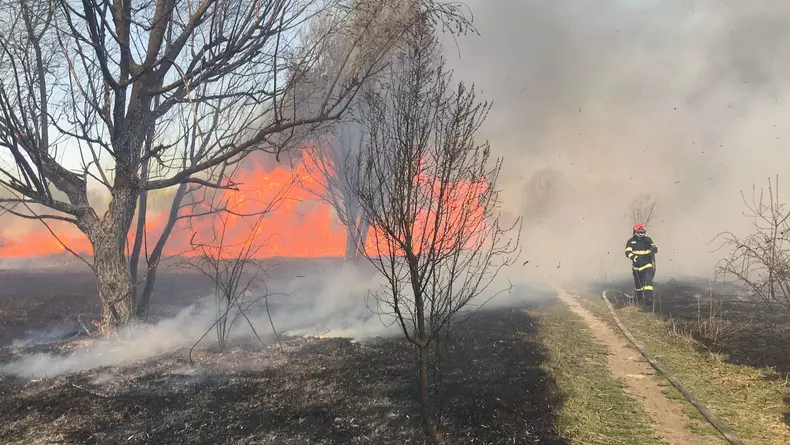 Incendiu în Delta Văcărești. Foto: ISU-B-IF