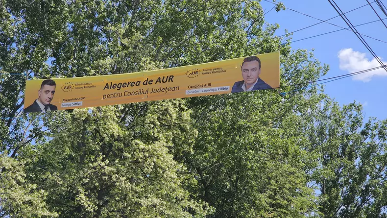 aur-in-botosani-material-electoral-foto-radu-eremia