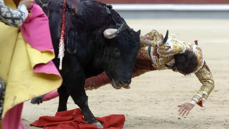 toreador-Andres-Roca-Rey-profimedia2