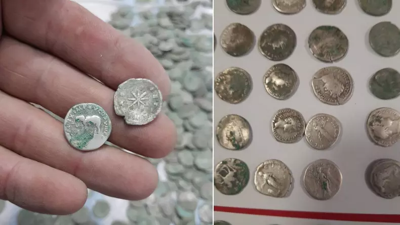 Un român a găsit 1469 de monede romane de argint în Giurgiu (3)