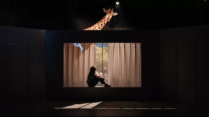 Imagine de la spectacol