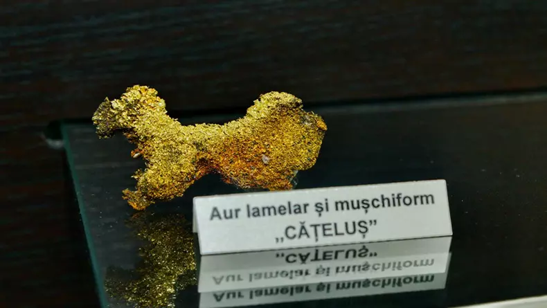 pepita catelus