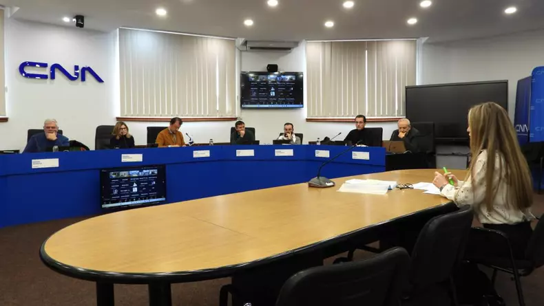 Imagine din timpul unei ședințe a CNA