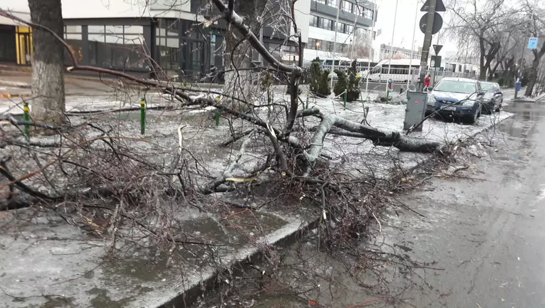 50498861_279185589420146_2108832331065196544_n