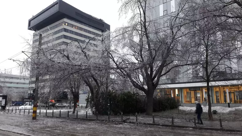 50565888_353054648756785_1320613043775733760_n