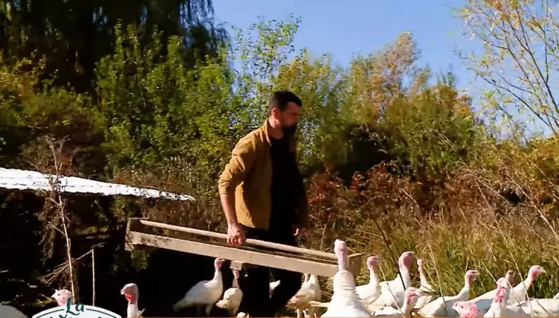 vlad-mirita-ferma-pasari-porci-12