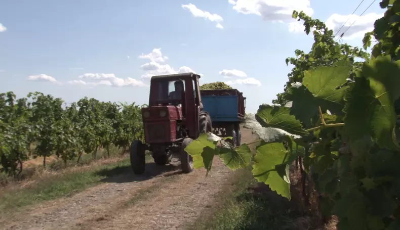 cadoul lui Nicolae Ceaușescu aleea lui Ceaușescu 3