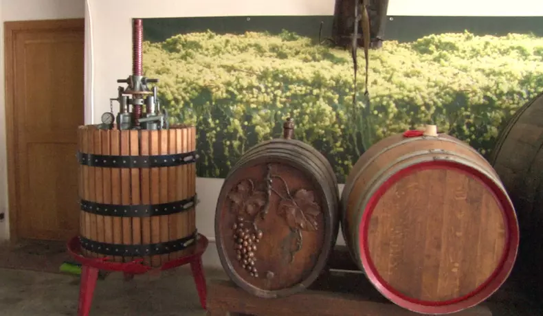 cadoul lui Nicolae Ceaușescu aleea lui Ceaușescu