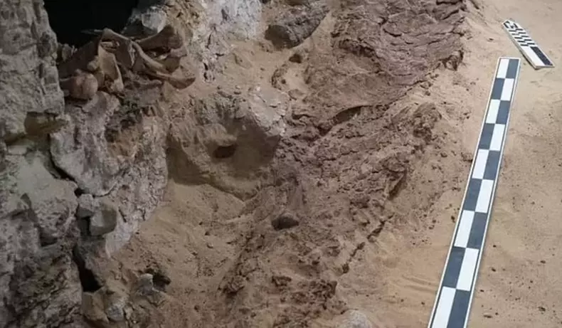 descoperire arheologica egipt5