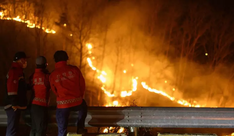 Incendii devastatoare Coreea de Sud, Foto: Profimedia Images