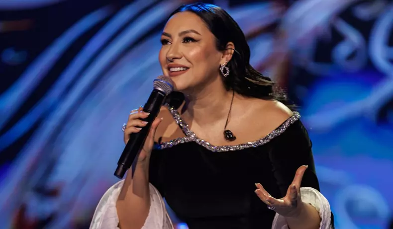 Onorariile artiștilor români în 2025