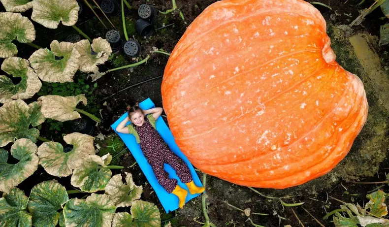 Cel mai mare și mai lung dovleac din lume (3)