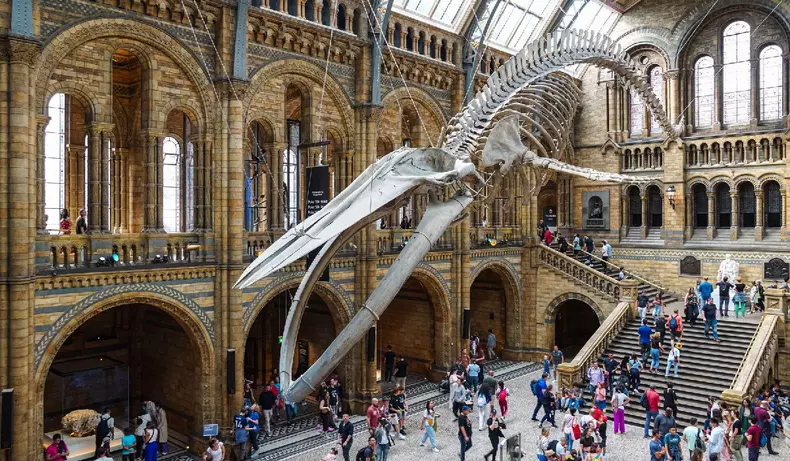 Muzeul de Istorie Naturală din Londra