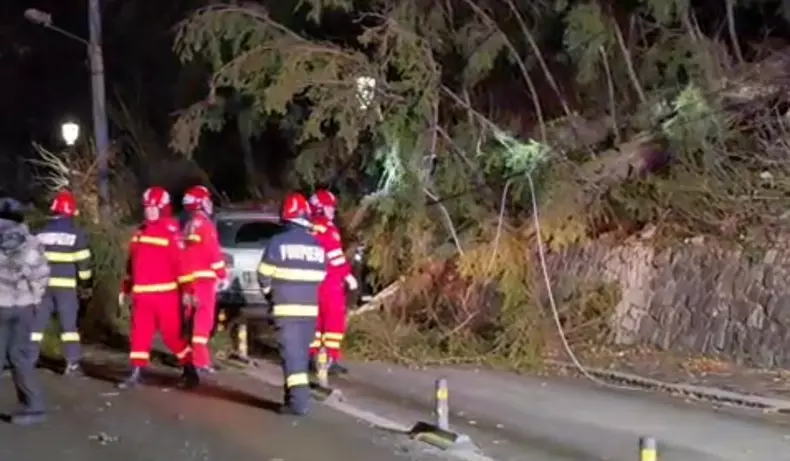 copac cazut masina sinaia