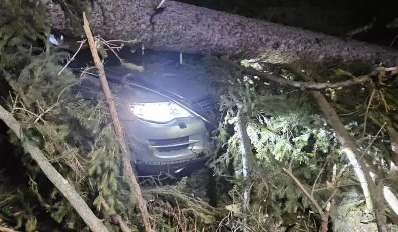 furtuna sinaia copac cazut masina