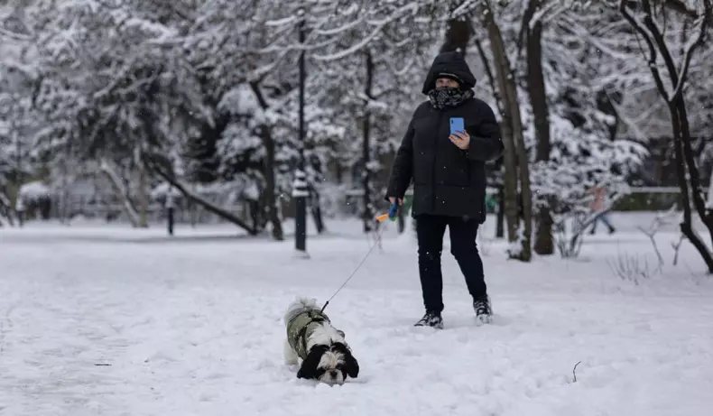 Vreme-ger-Bucuresti-caine-femeie-haina-neagra-infofolita-telefon-Vlad-Chirea