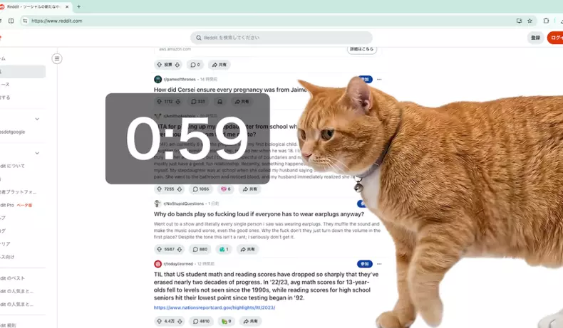 pisica portocalie apar ecran pauza social media