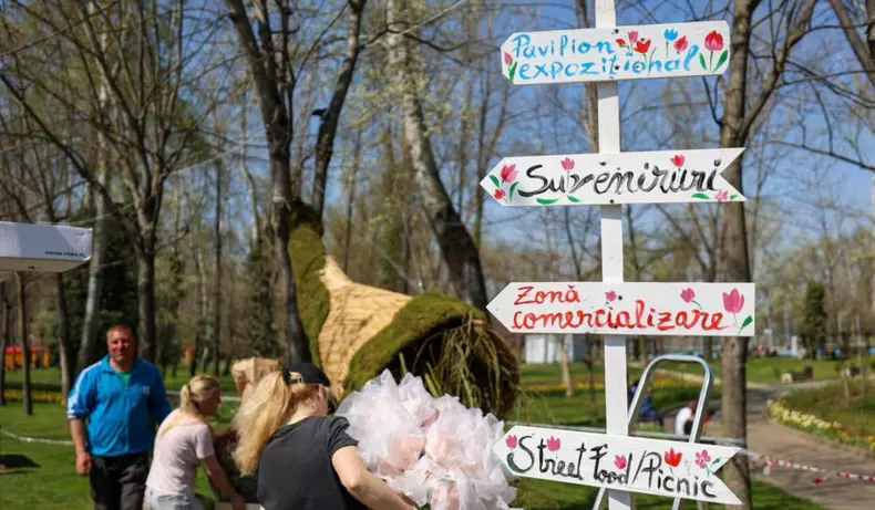 simfonia lalelelor 2026 (3)