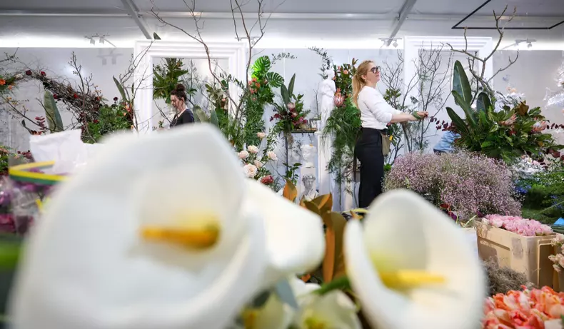 simfonia lalelelor 2026 (4)