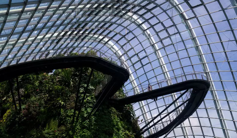 aeroport-changi-singapore-gradina-arhitectura