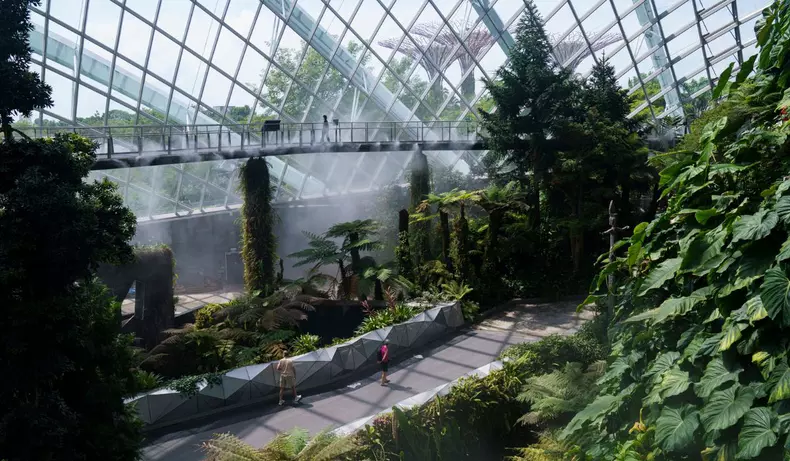 aeroport-changi-singapore-gradina-arteziene