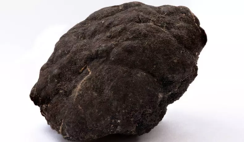 Noduli polimetalici de la o adâncime de 5000 m în Oceanul Pacific