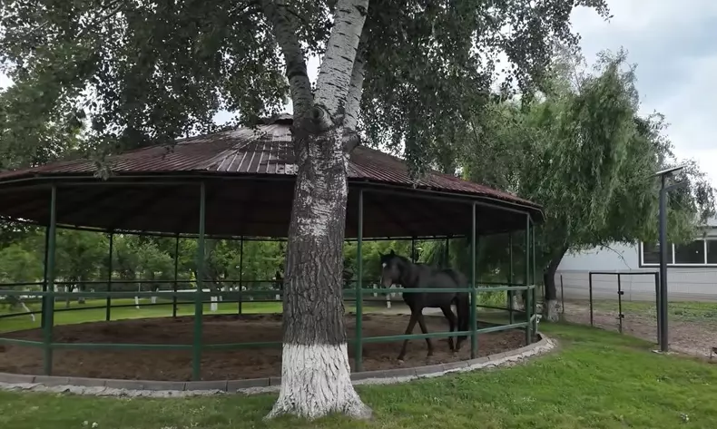 imagini casă Nuțu Cămătaru (6)