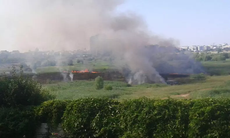 13663647_10154289852877902_1597156136_o