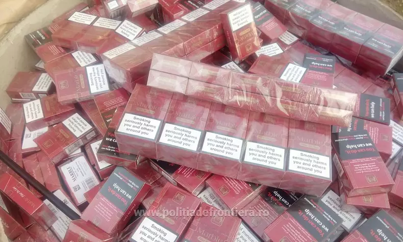 tigari confiscate (10)