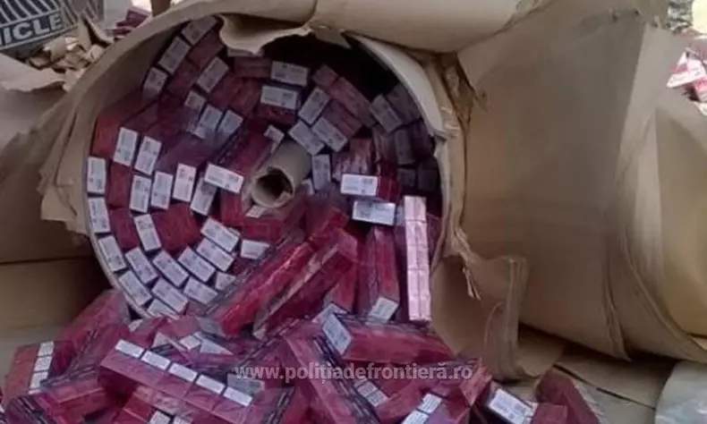 tigari confiscate (5)