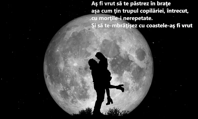 Poezii de Nichita Stănescu - Îmbrățișarea