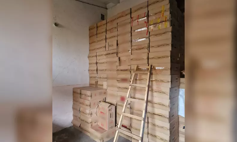 Foto: Politia de Frontiera