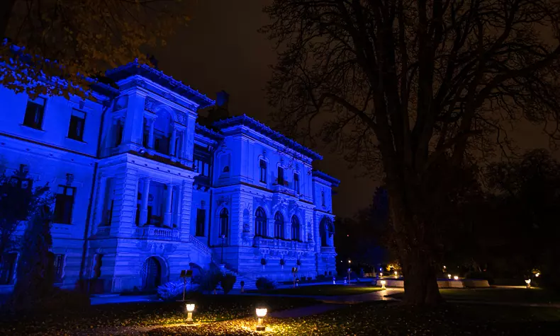 original_iluminare_palatul_cotroceni_20_nov_2020_20