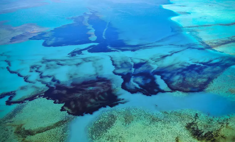 Insulele Mauritius, in pragul unui dezastru ecologic. Foto: EPA
