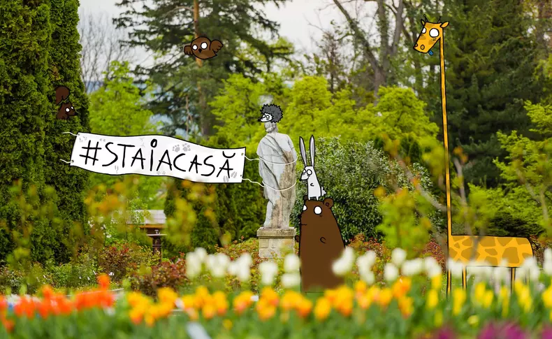 91796216_924845044635176_6269388191745179648_o