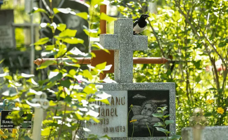 cimitir doina chisinau (14)