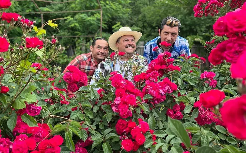 2872262856091559539183536927913084733078086n