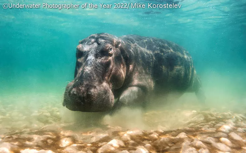 19-mike-korostelev-russian-federation