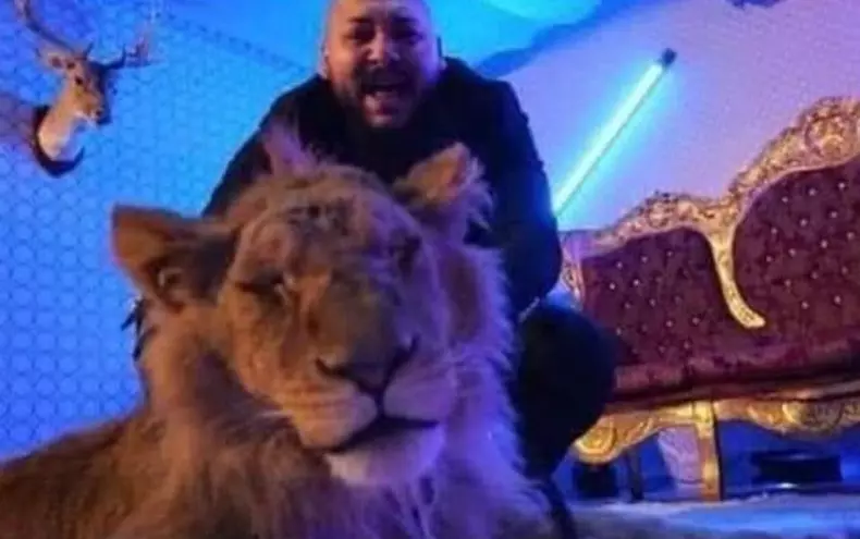 Manelistul Dani Mocanu a filmat un videoclip cu un leu rănit