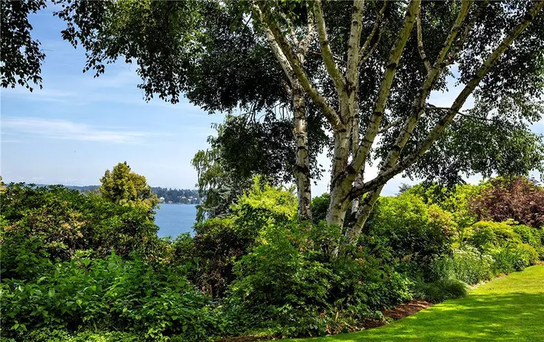 profimedia-0474759585