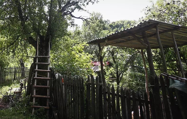 sat-parasit-dumitru-angelescu-img3358