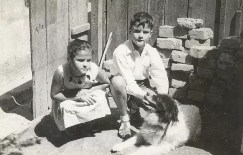 sora adrian nastase dana barb a murit 2